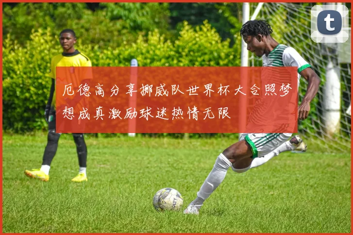 厄德高分享挪威队世界杯大合照梦想成真激励球迷热情无限