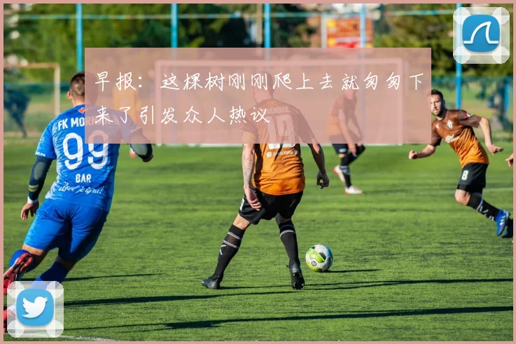 早报：这棵树刚刚爬上去就匆匆下来了引发众人热议