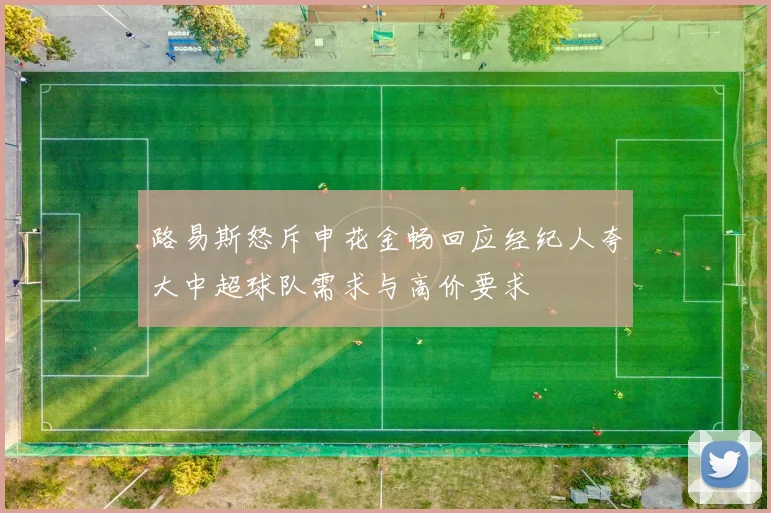 路易斯怒斥申花金畅回应经纪人夸大中超球队需求与高价要求
