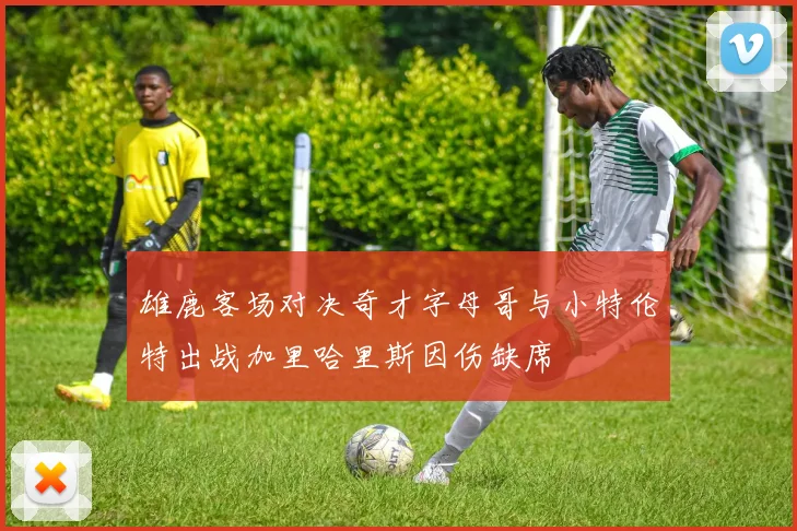 雄鹿客场对决奇才字母哥与小特伦特出战加里哈里斯因伤缺席